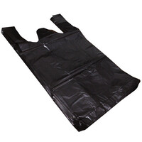 BOLSA GAB 20X24 100 PZ