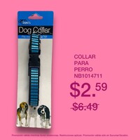 COLLAR P/PERRO DI040